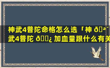 神武4普陀命格怎么选「神 🪴 武4普陀 🌿 加血量跟什么有关」